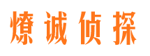 振安市场调查